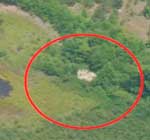 marijuana field
